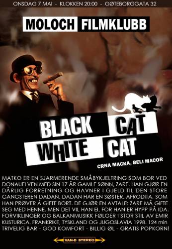 Melnais kaķis, baltais kaķis / Black cat, white cat